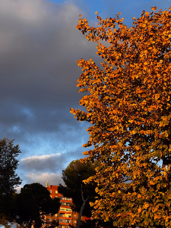 Sagrada Familia interior