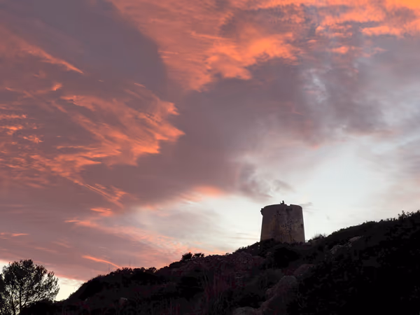 Autumn tree with golden leaves